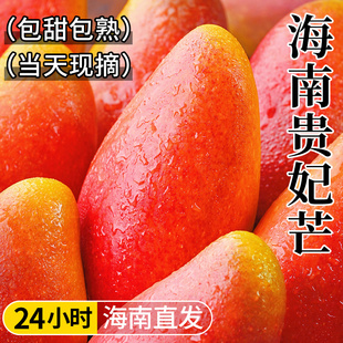�����F��â���râ������ˮ��������t���������������â������