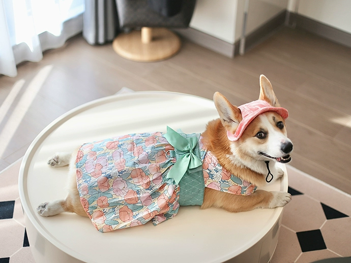 Домашние животные без рукавов Цветочное платье Толстая собака одежда весна и лето тонкая дышащая юбка с бантом