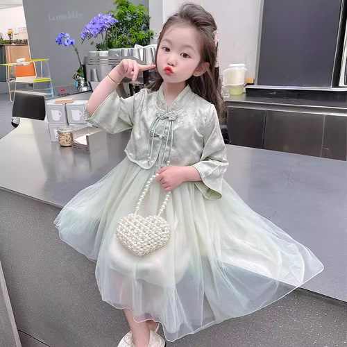 Summer 2024 New Girl's Dress for Baby Girls, Cute Princess Style Children's Long Sleeve Dress