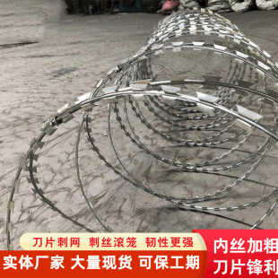Community Safety Barbed Protective Net Fence Anti-Theft Net Barbed Wire Prison Barbed Wire Roll Cage Isolation Blade Barbed Wire Net