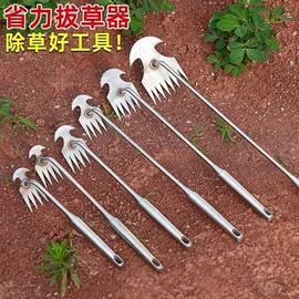 锄头;耙子;修枝剪