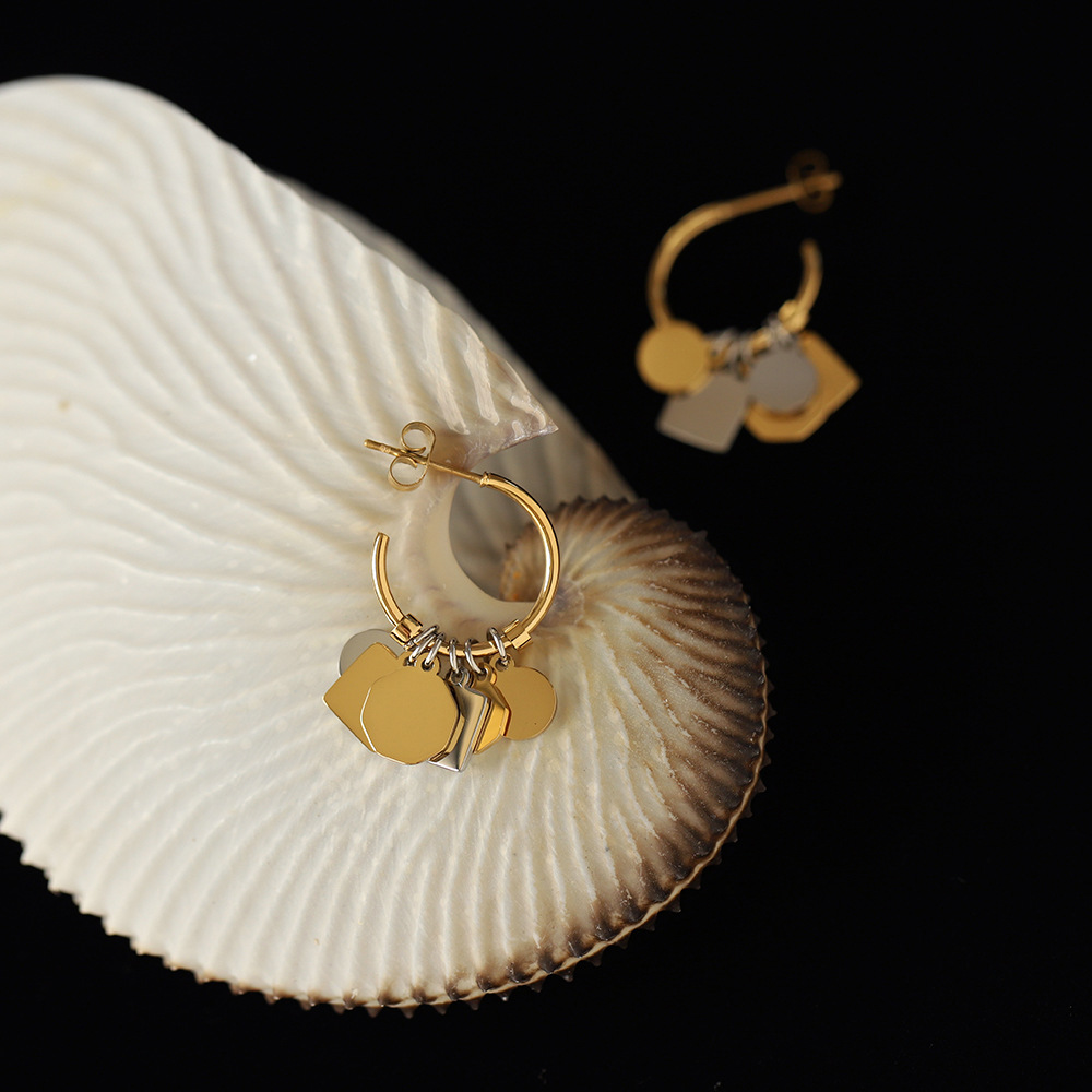 Stainless Steel Surface Geometric Piece Earrings