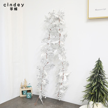 �}�Q�����ٗl1.8�� �Ƶꙻ���T������L���}�Q���b�Ʒ