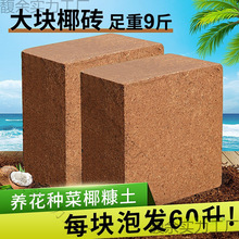 Ҭ�u�I�B���N��ͨ����Ó�}Ҭ����KҮ�u�����������B�������N���l