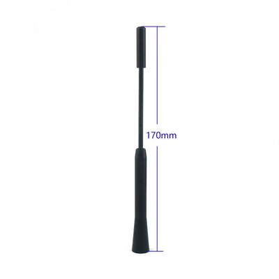 Antenna Am/Fm Car Antenna — vehicle antenna
