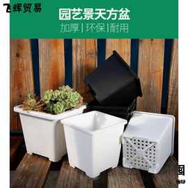 多肉花盆景天小方盆大号老桩韩式仙人球多肉小白方盆塑料黑方加厚