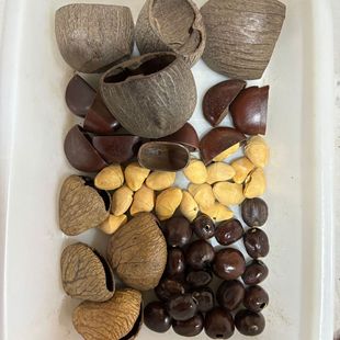 ӡ������A����ˮ��ͩ�ڹ������v����ޢDIY�֓u��L��ֹ�����
