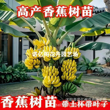 �㽶����С�׽���۽��ʵ۽��t�������tƤ�O�����Ž��������~�Ž�