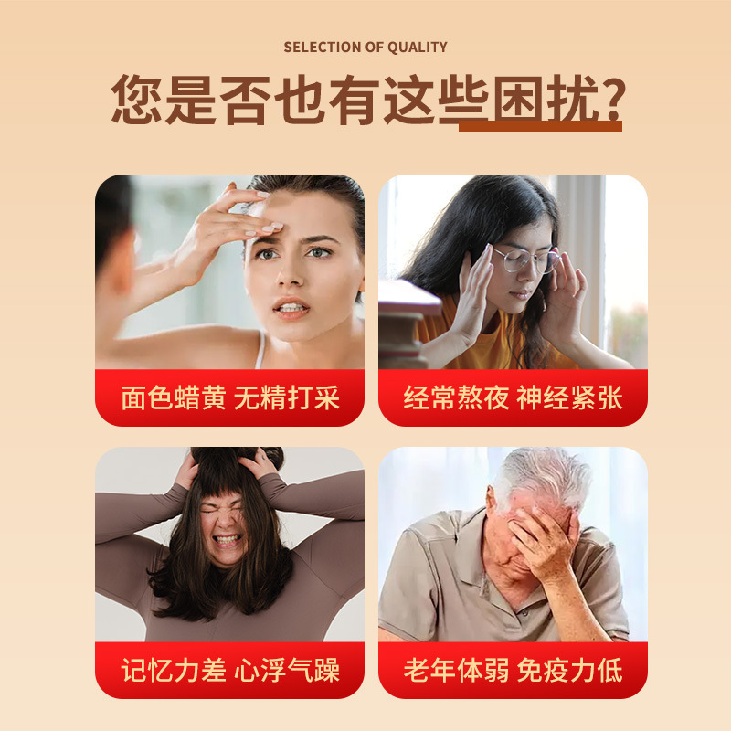 活力四宝茶、男性と女性のための健康維持のための既製品、黄耆とコクン四宝顆粒健康維持茶の加工|undefined