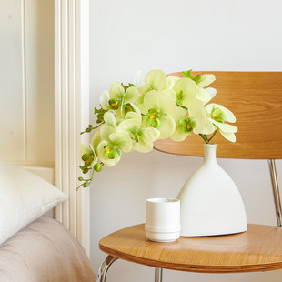 �߶��ָл�ˇ�����m�p�ݲ廨�[�O�[���b������滨�ٻ���������