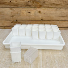 �ڏ�4����������Ϸ���Ĵָ���F��ʯ������N��������ˮ�P