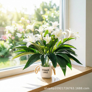 �羳����Gֲ��������ֲ��ٺϻ��Ϸ۰����쾰�ٻ������b��l