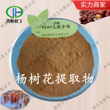 杨树花提取物 杨树花粉 植物杨树花萃取、专业植提 现货供应|包邮