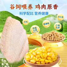 春雪食品鸡翅中2斤新鲜冷冻鸡翅卤煮油炸烧烤食材鸡翅中批发