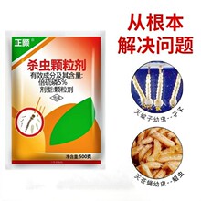 ���5%�����׳���ș�������������x���S�؜�ω�����ƚ��x�w����