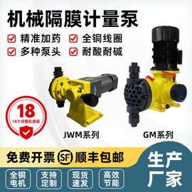 GM机械隔膜加药计量泵可调节耐腐蚀耐酸碱PACPAM加药装置计量泵