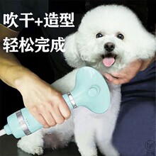 狗狗吹风梳宠物拉毛器拉毛机一体吹风机泰迪吹毛美容亚马逊厂家