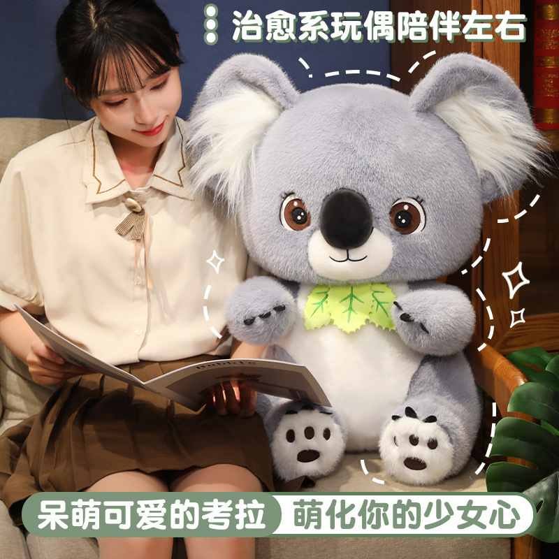 コアラのぬいぐるみのコアラのぬいぐるみの怠惰なぬいぐるみのぬいぐるみの子供のかわいい人形オーストラリアのプレゼント|undefined