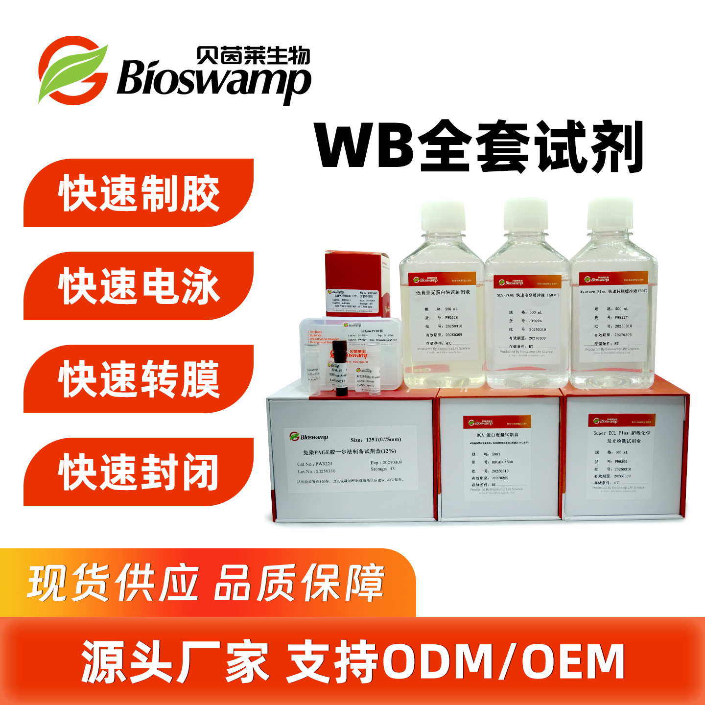 贝茵莱bioswamp 彩色预染蛋白Marker(10-250 kDa，双色) (PW9213)