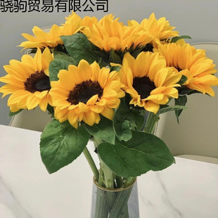 �滨���տ�����̫ꖻ����҃������b[��Ԣ�����û������������r