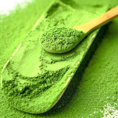 Free shaker cup full-quality plant prebiotic green juice barley green juice powder batch fermented green juice barley seedling powder