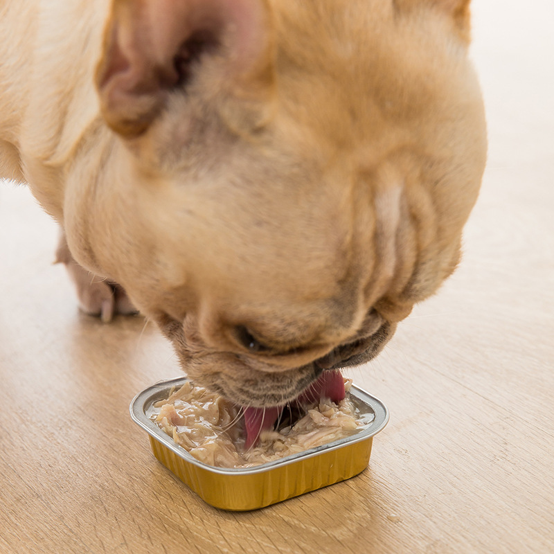 Perro enlatado 100g * 8 latas de cachorro perros adultos, bocadillos universales para perros, arroz y arroz, paquete de regalo de grano húmedo, caja completa para mascotas