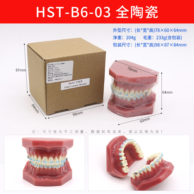 Modelo de ortodoncia dental semi-metal semibrackets Práctica de corrección de molde dental estándar Comunicación médico-paciente Modelo de enseñanza Modelo dental