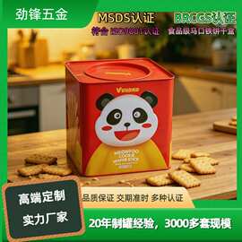 方形曲奇蔓越莓饼干马口铁盒空盒烘焙包装盒马来西亚厂家直销