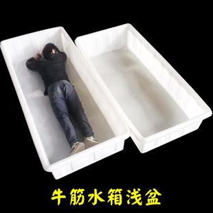 Rectangular Plastic Basin, Thickened and Durable, Tendon Plastic Shallow Basin, Narrow and Long Water Tank with Drainage, Extra Large Food Grade