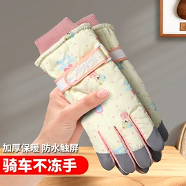 成人手套;防晒袖套;坐垫椅垫