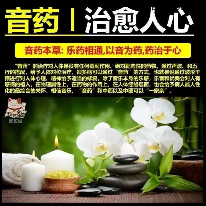 USB-накопитель для медитации и wellness, безlossный высокий звуковой качества Guoyue Wuyin Master Beauty Salon Tea Room Успокаивающий и расслабляющий USB