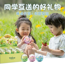 盆栽;科学实验玩具;创意礼品套装