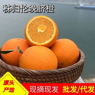 ���w����Ě�ȬFժ���r�������l��Ƥ��֭���ȵ��������䑪����ˮ��