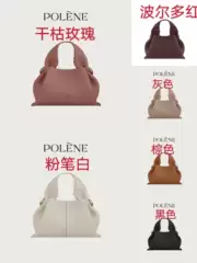 Polene Handbag Numéro Neuf