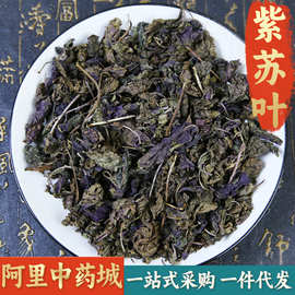 【精选货】紫苏叶中药材  泡水野生紫苏叶干泡茶泡脚小叶紫苏叶粉