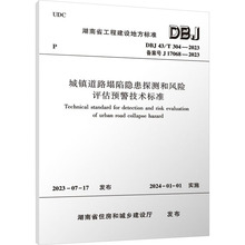 城镇道路塌陷隐患探测和风险评估预警技术标准 DBJ 43/T