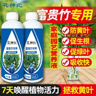 special nutrient solution for rich bamboo guanyin bamboo rich tree hydroponic plant copper money grass green plant potted plant flower cultivation liquid fertilizer