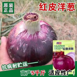 �tƤ���[�N���[�N��С���[�N��ԭ�b�ļ��߲˴�ȫ�˴����l�ԷN