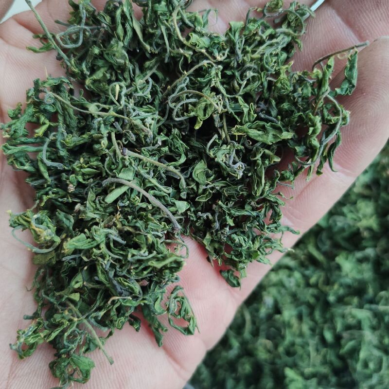 2025 Fresh Jujube Leaf Tea, Jujube Bud Tea, Second-Grade Jujube Leaf Tea, New Tea in Bags, Wholesale Herbal Tea, Wild