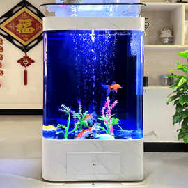 轻奢欧式双圆鱼缸客厅中型客厅家用落地玻璃水族箱免换水生态鱼缸