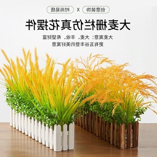 �羳���ϻ��ٻ������������ľ�řڿ͏d�͏d�̈������b�ˇ���l