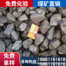 笨煤13籽 5500-5900卡 硬度高 卡数高 低硫高硫型号齐全 产气足