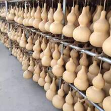 ��Ȼ���J����Ȼ����С̖�͏d�����[����ؔ���J���^���������լ