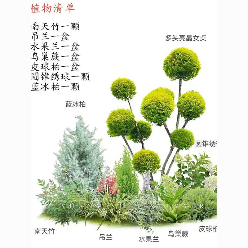 商品图