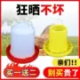 家用自动禽类养鸡饮水器
