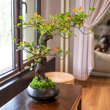 ���羰Ʒ���u��������Gֲ���P�Ř������҃ȶU��[�����滨ֲ��