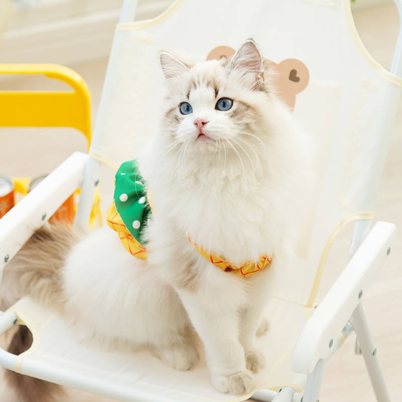 Primavera y verano gato lindo Sling pequeño dinosaurio estilo traje de baño Sling perro natación bikini ropa para perros mascotas