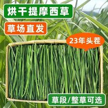 7AĪݺɕӲ²؈ʳòӲݼZmi