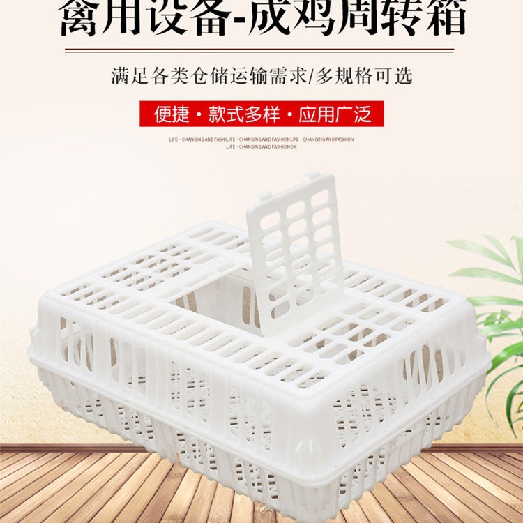 双片鸡笼成鸡周转箱大空间成鸡箱母鸡运输箱全新熟料加厚羽佳直销