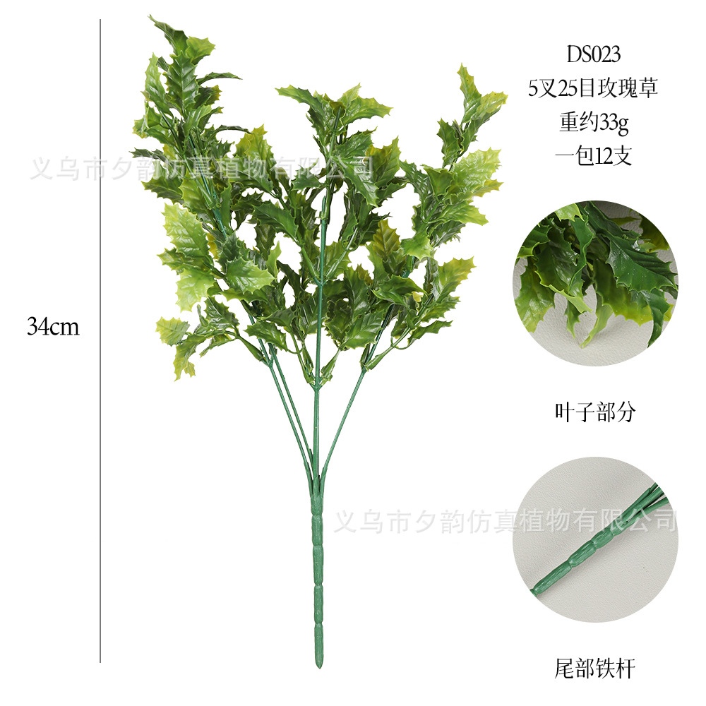 DS023-라이트 그린 5갈래 장미풀